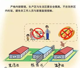 網傳全省禁止生豬跨市調運致供應不穩？國際貿易視角下的真相解析